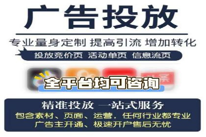 实战经验：SEM网络推广打造行业领军品牌